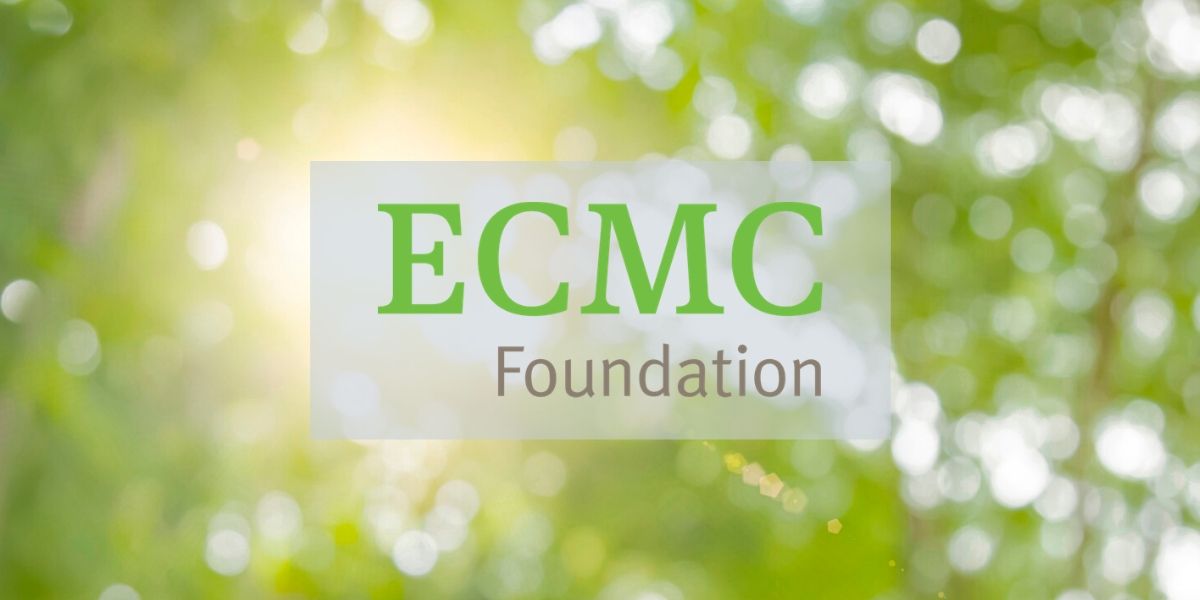 Men of Color Program Receives COVID-19 Rapid Response Grant from ECMC Foundation